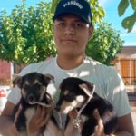 Amor viral: encontró dos cachorros y no pudo resistirse