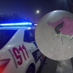 Descartó un arma de fuego y se dio a la fuga